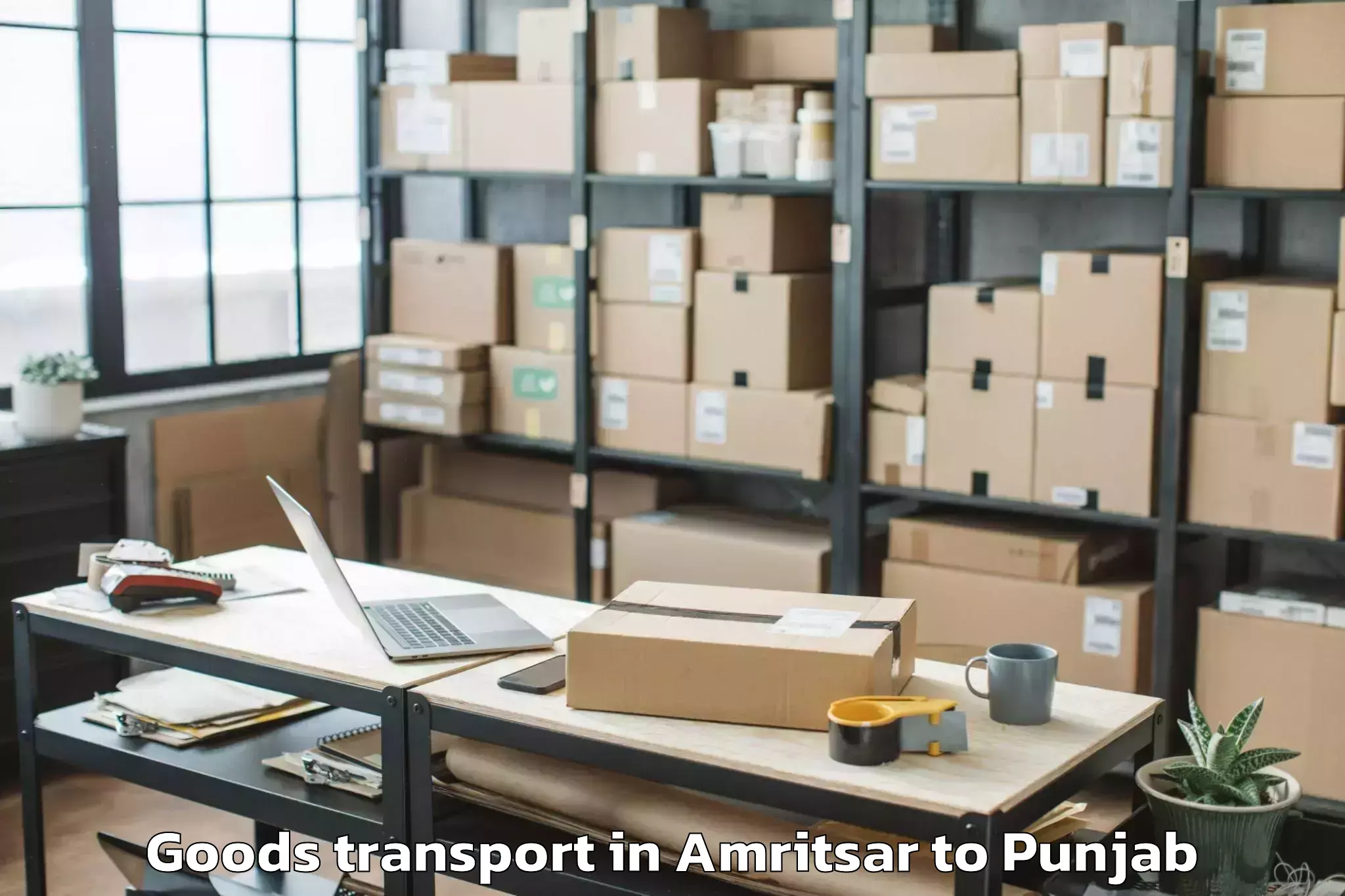 Quality Amritsar to Badhni Kalan Goods Transport